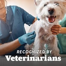 MSM recognized by veterinarians, vet approved, MSM for puppy, kitten