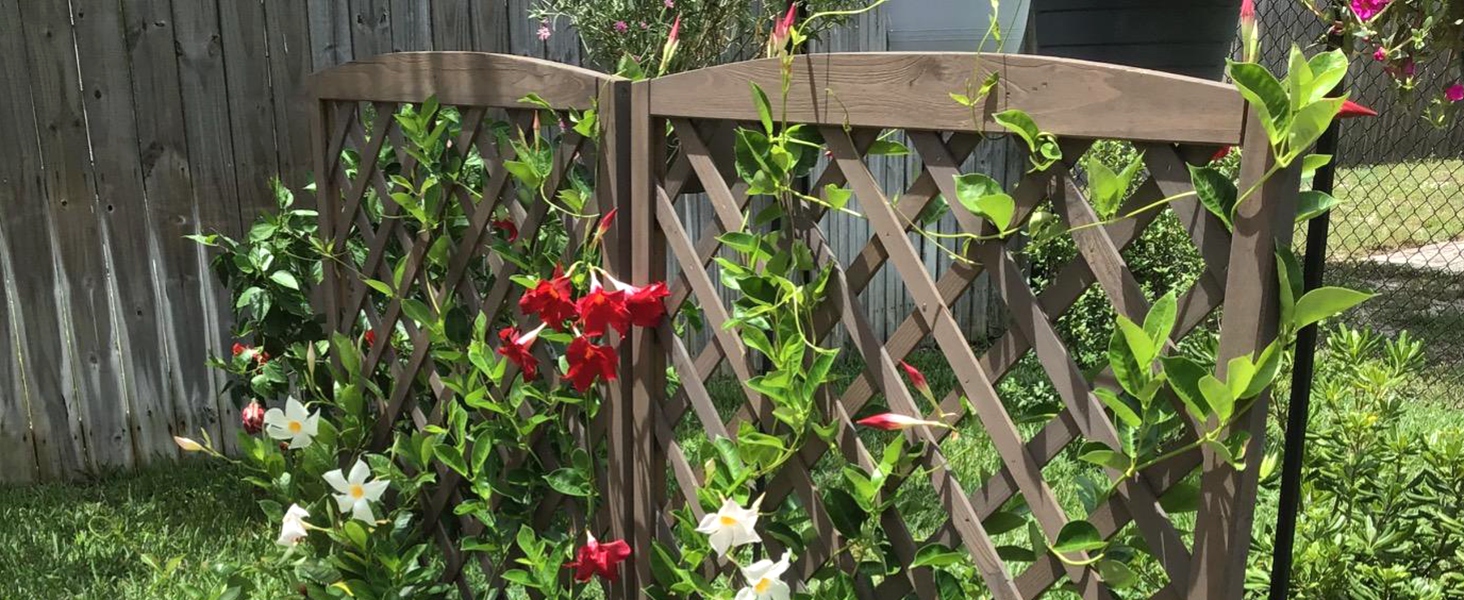Garden Planter with Trellis
