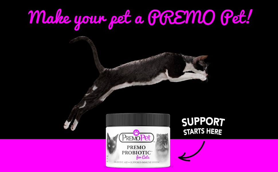 natural probiotics for cats wellness