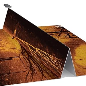 Side Imaging