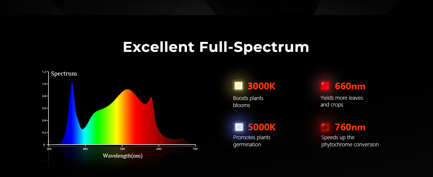 a graphic showing the different types of light in the spectrum