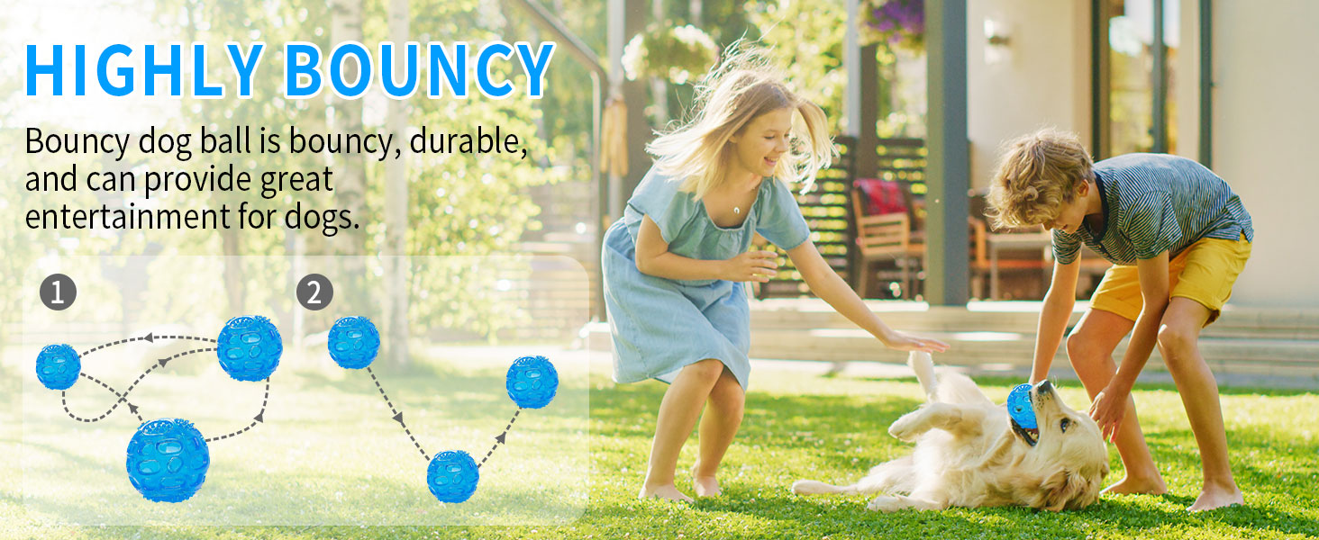 dog squeaker balls