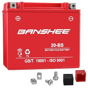 20-BS Banshee