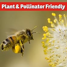 plant and pollinator friendly insect control