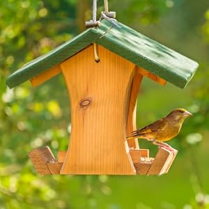 bird feed health