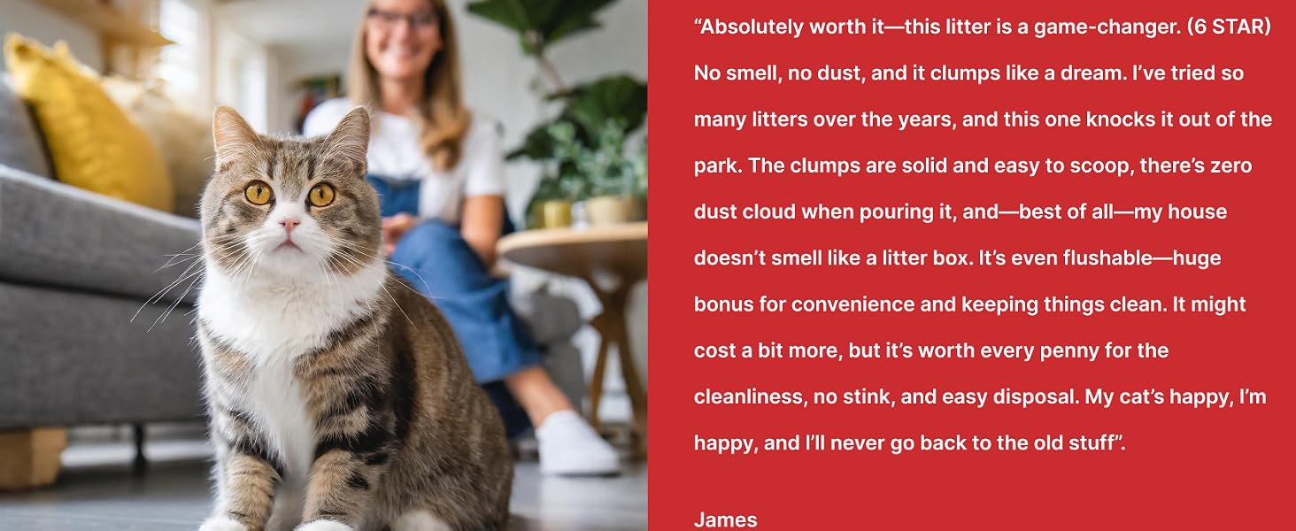 World's Best Cat Litter