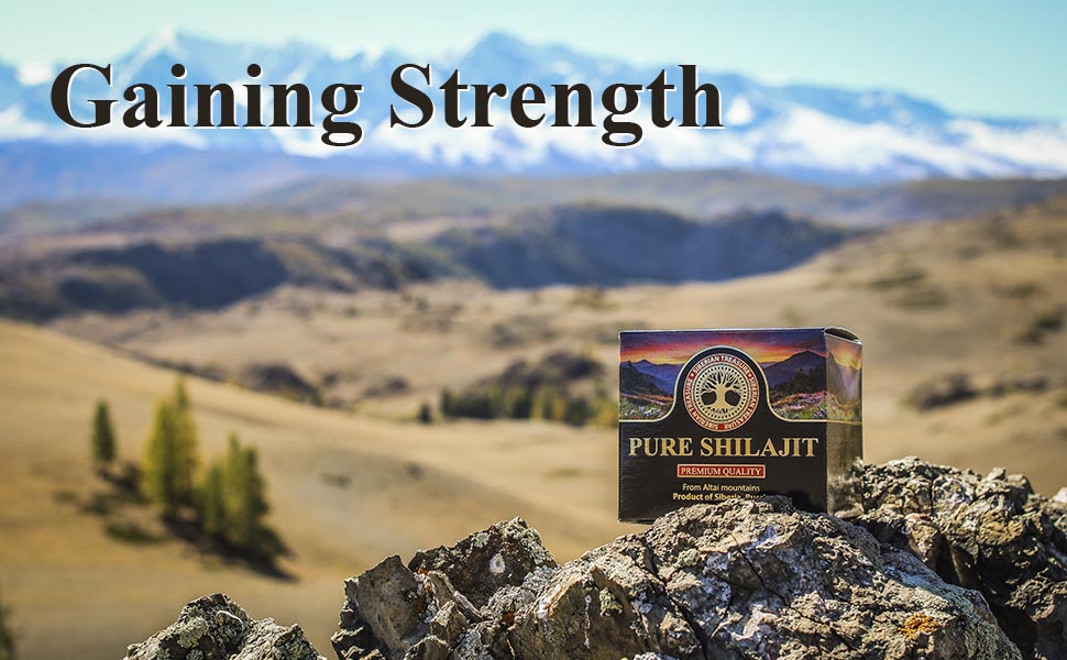 siberian treasure shilajit