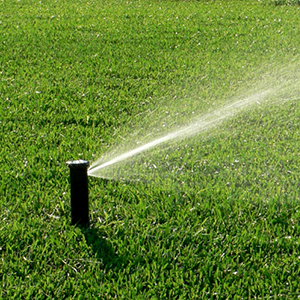 Irrigation