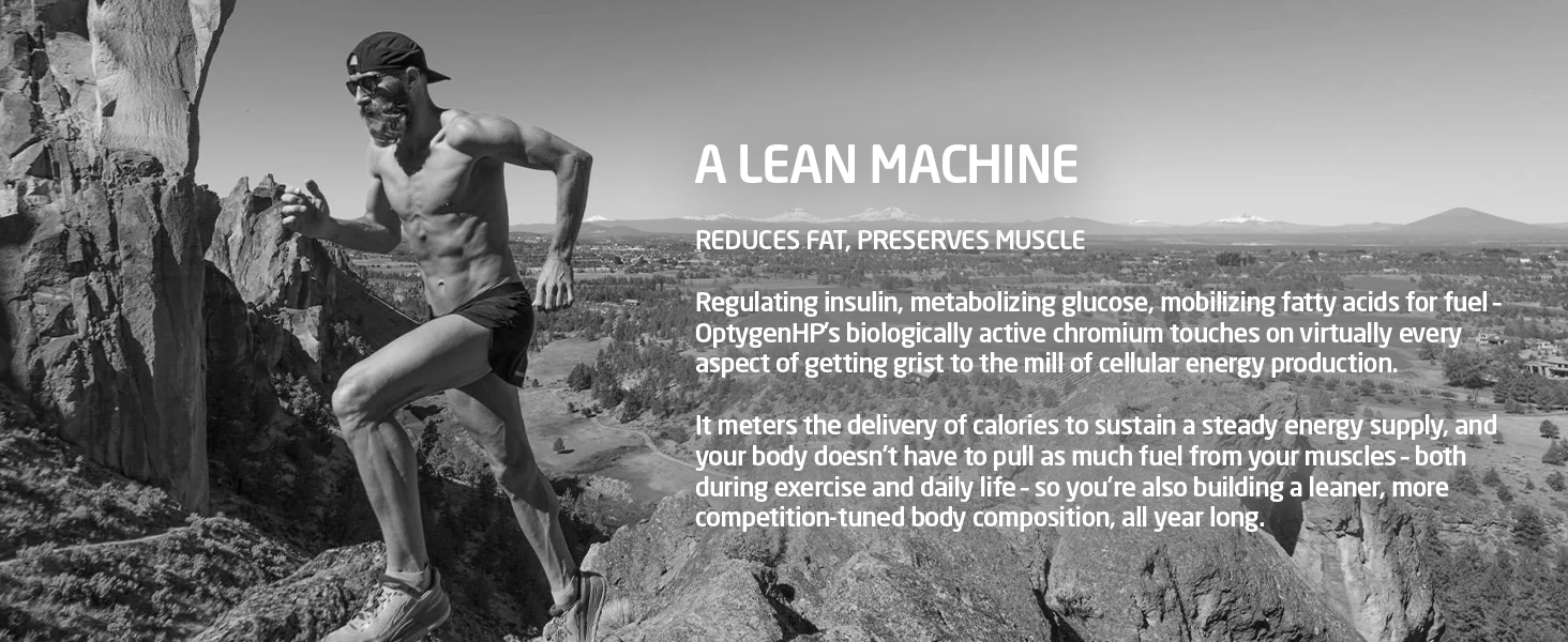 Formulated with Rhodiola, Cordyceps, Ashwaganda, and Notoginseng,