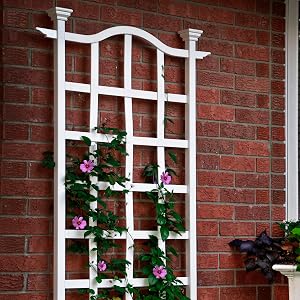 London Trellis VA68201