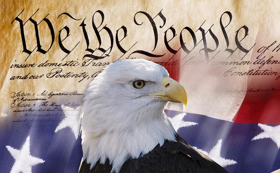 american flag eagle