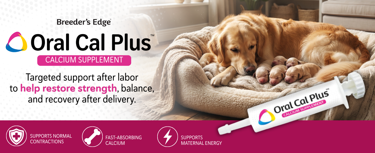 Oral Cal Plus with mother dog resting and newborn puppies in bed after whelping
