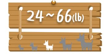 Dog Size Chart