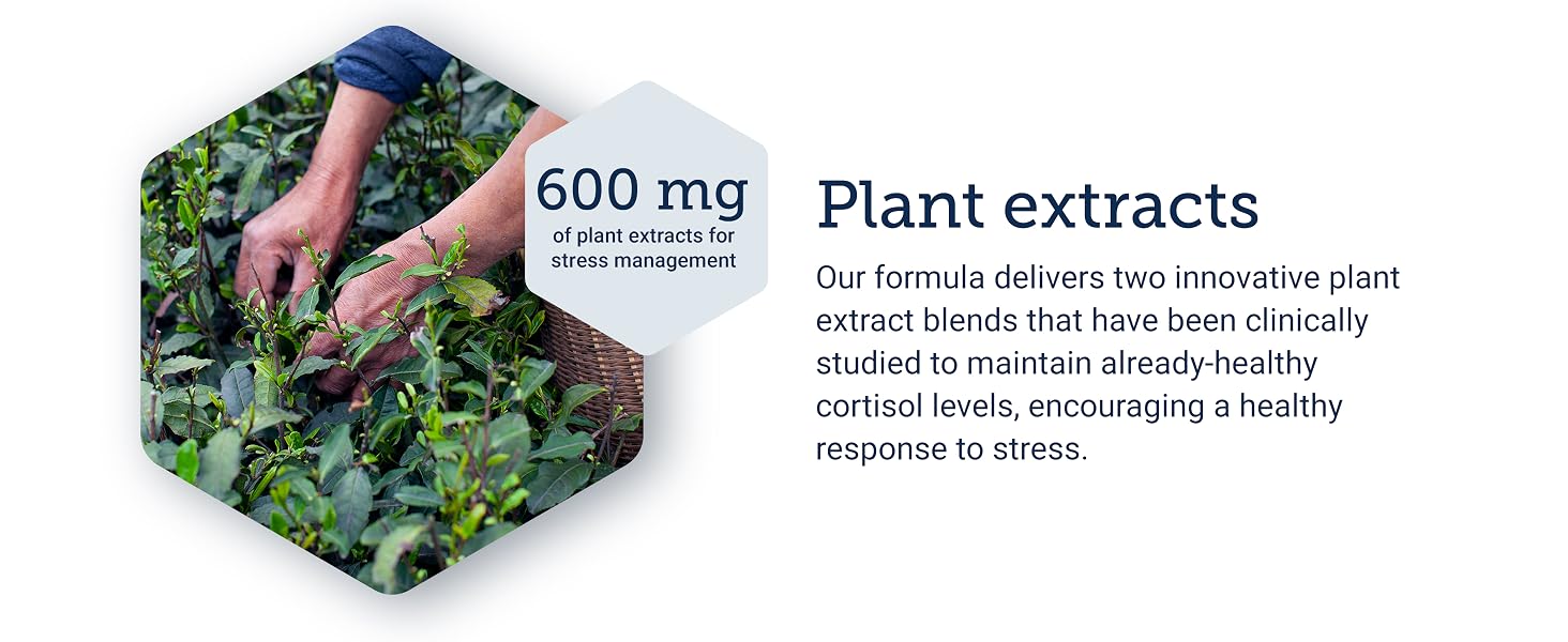 oliginol, officinalis, adrenal, herbal, supplements, women, best,