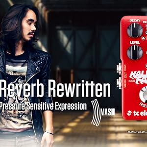 HALL OF FAME 2 REVERB
