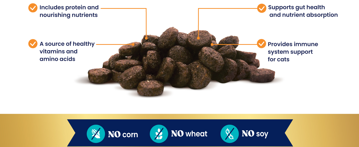 protein boost meal topper for cats gut health for cats