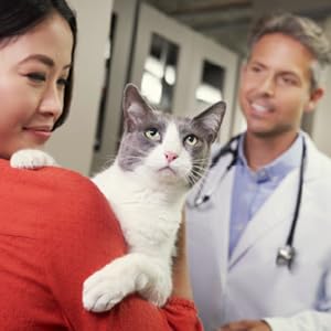 Pet owner holding cat at veterinarians office
