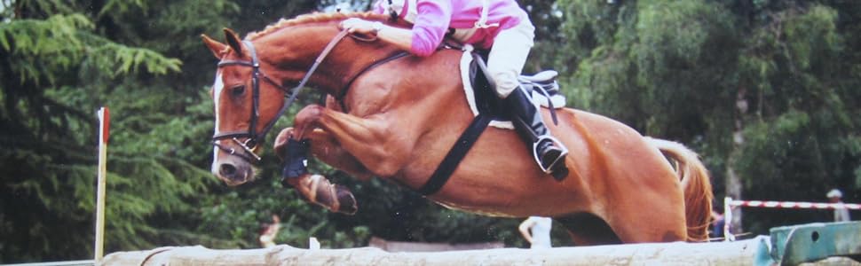 An equestrian show jumping scene showing a chestnut horse and rider clearing a horizontal pole obstacle, with green trees in the background.