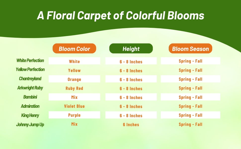 Bloom Season, Height, &amp;amp; Color Chart of Viola Flowers