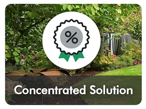 Concentrated Solution