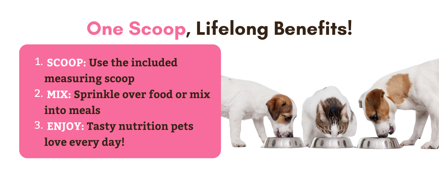 Easy to use for all pets