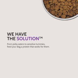 We have the solution