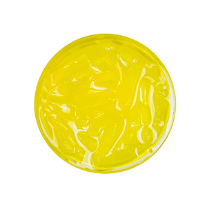 Tea Zone Mango Jelly