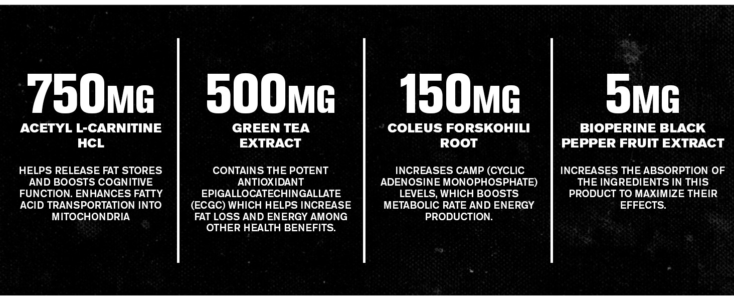 forskolin supplement weight loss supplements for men fat burner for women thermogenic fat burners