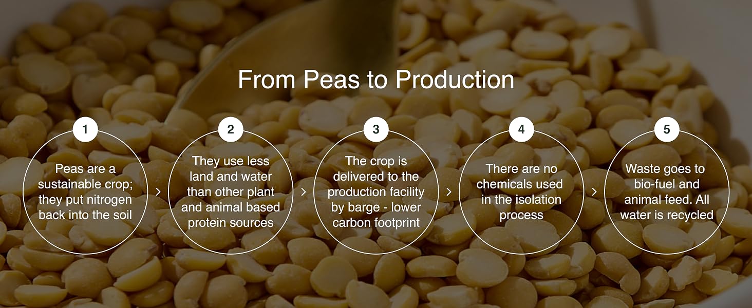 Nuzest Clean Lean Protein process