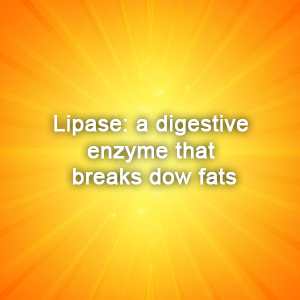 lipase