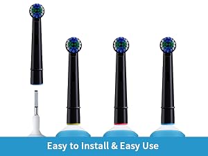 replacement toothbrush head