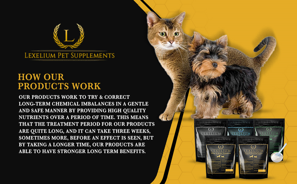 dog cat heart supplement powder natural pet blood pressure cardiovascular circulatory ischemia