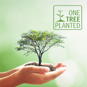 One Tree Planted