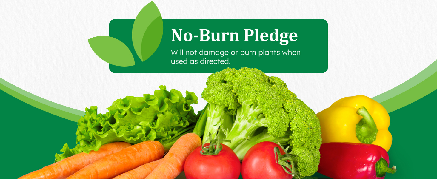Assorted fresh vegetables with No-Burn Pledge.