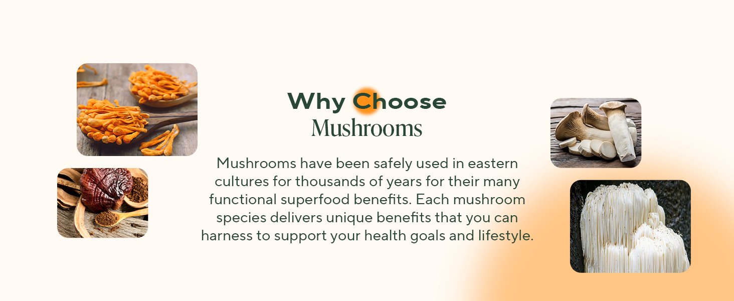 Each mushroom species delivers unique benefits to support your health goals and lifestyle