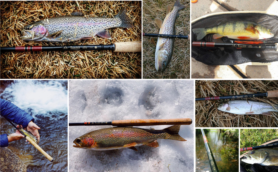 tenkara rods