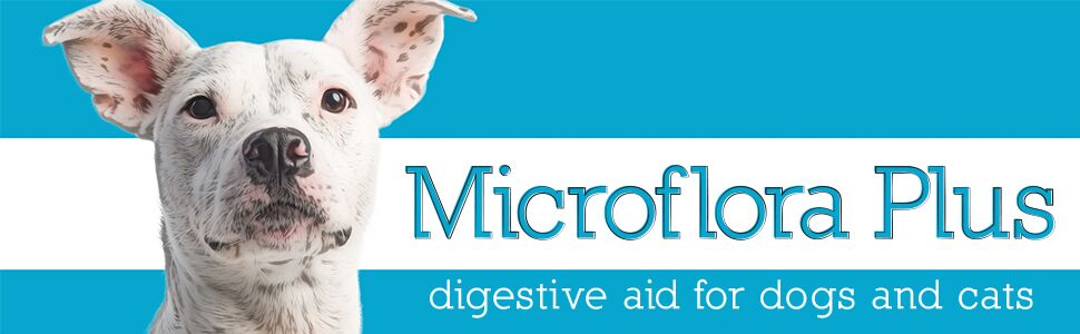 digestive care for dogs