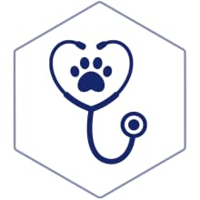 dog and cat antiseptic and antifungal medicated shampoo