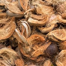 coconut husks about to be used to make minute soil