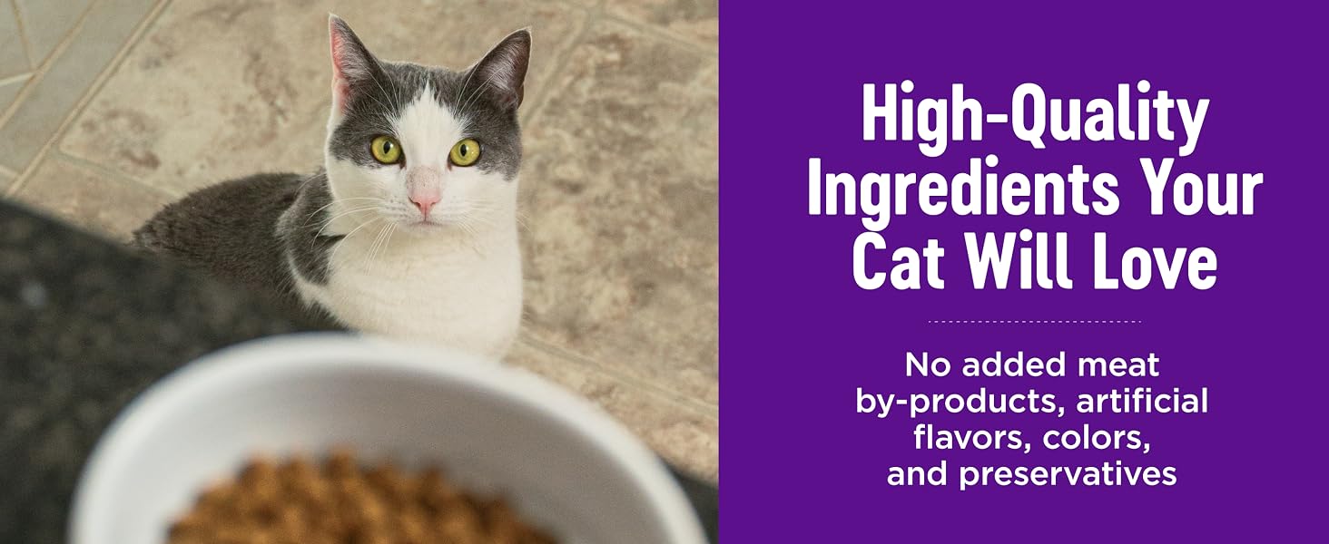 High-quality ingredients your cat will love