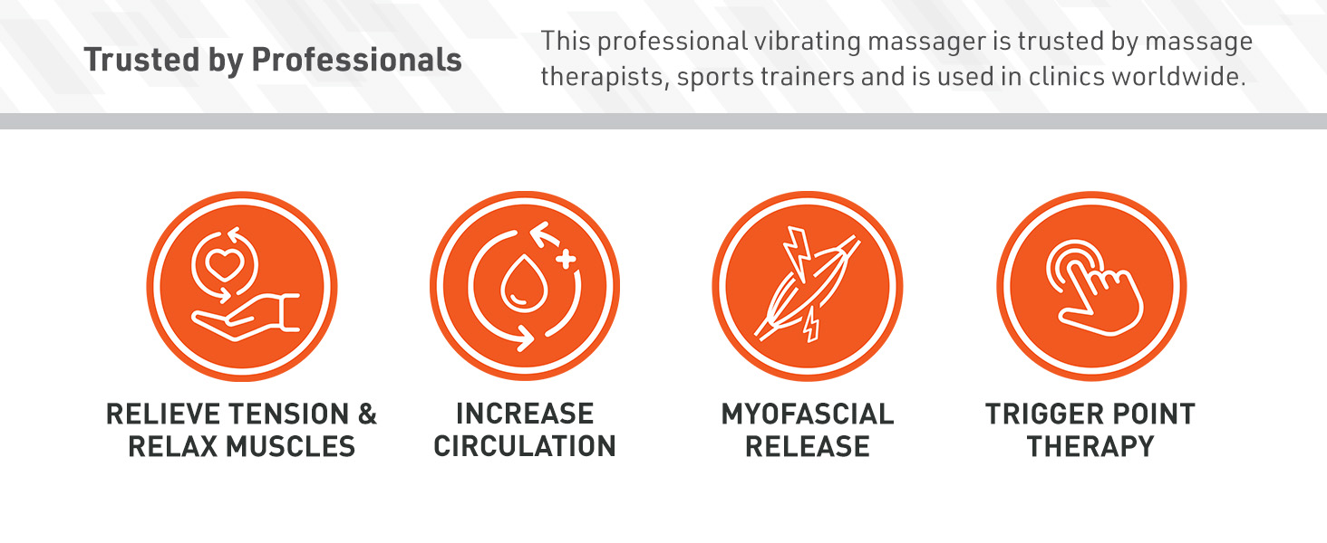 BodySport Variable Speed Professional Massager
