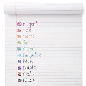 Paper Mate InkJoy 100RT Retractable Ballpoint Pens, Medium Point (1.0mm), Assorted, 20 Count