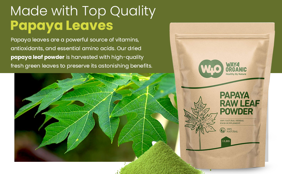 Papaya Leaf Powder