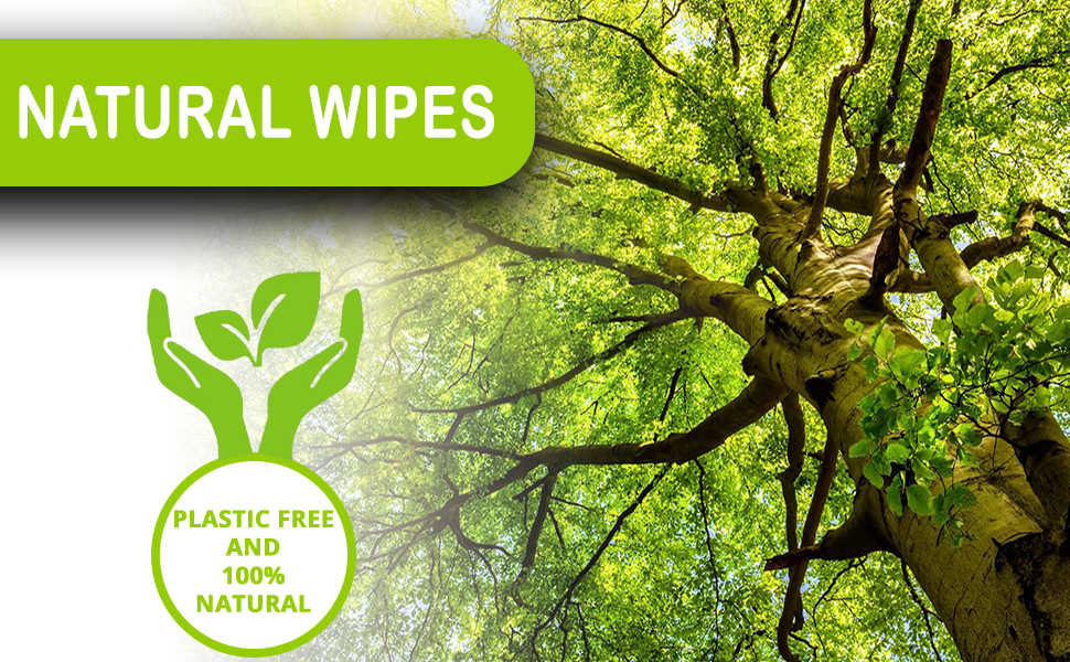 Baby Wipes