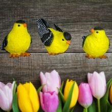 Great spring decoration