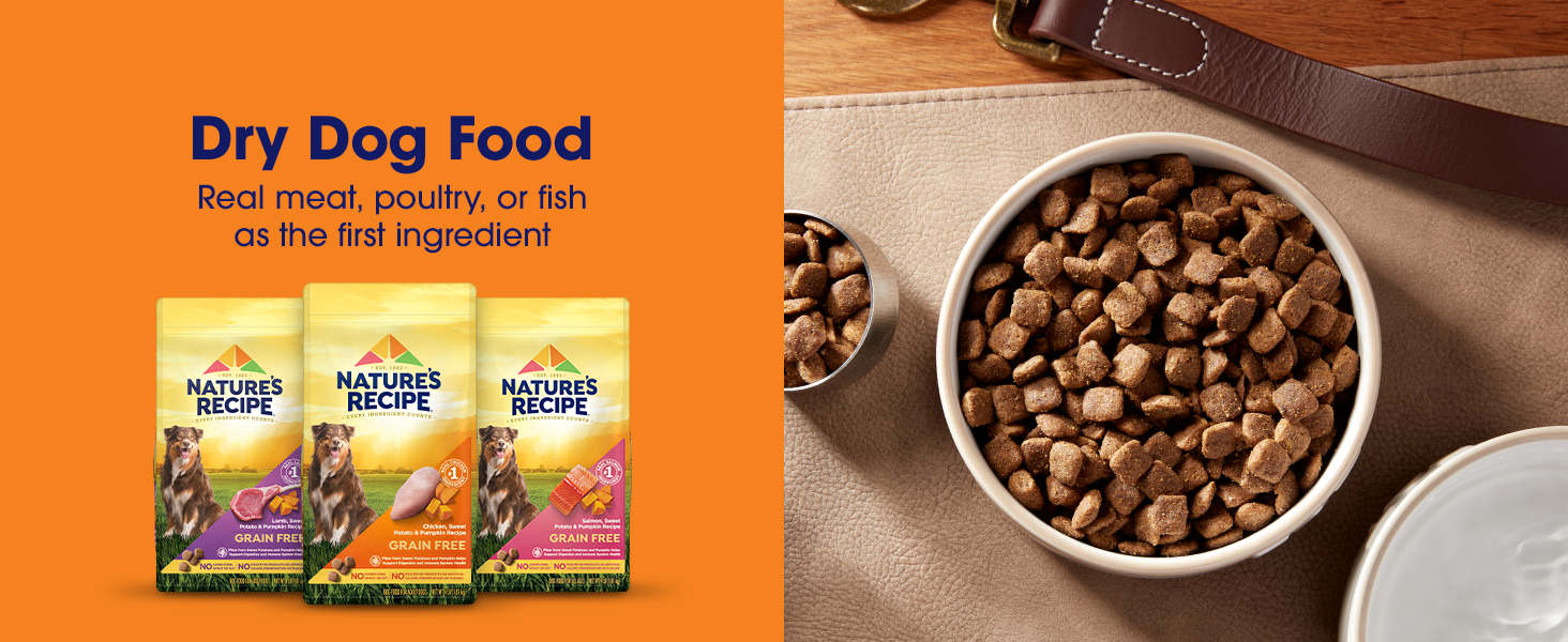 Dry dog food with kibbles in bowl and packaging of Nature's Recipe