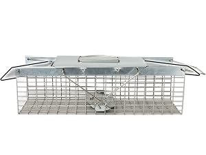 2 door small trap