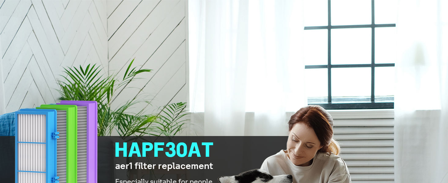 Aer1 Filter Replacement for Holmes