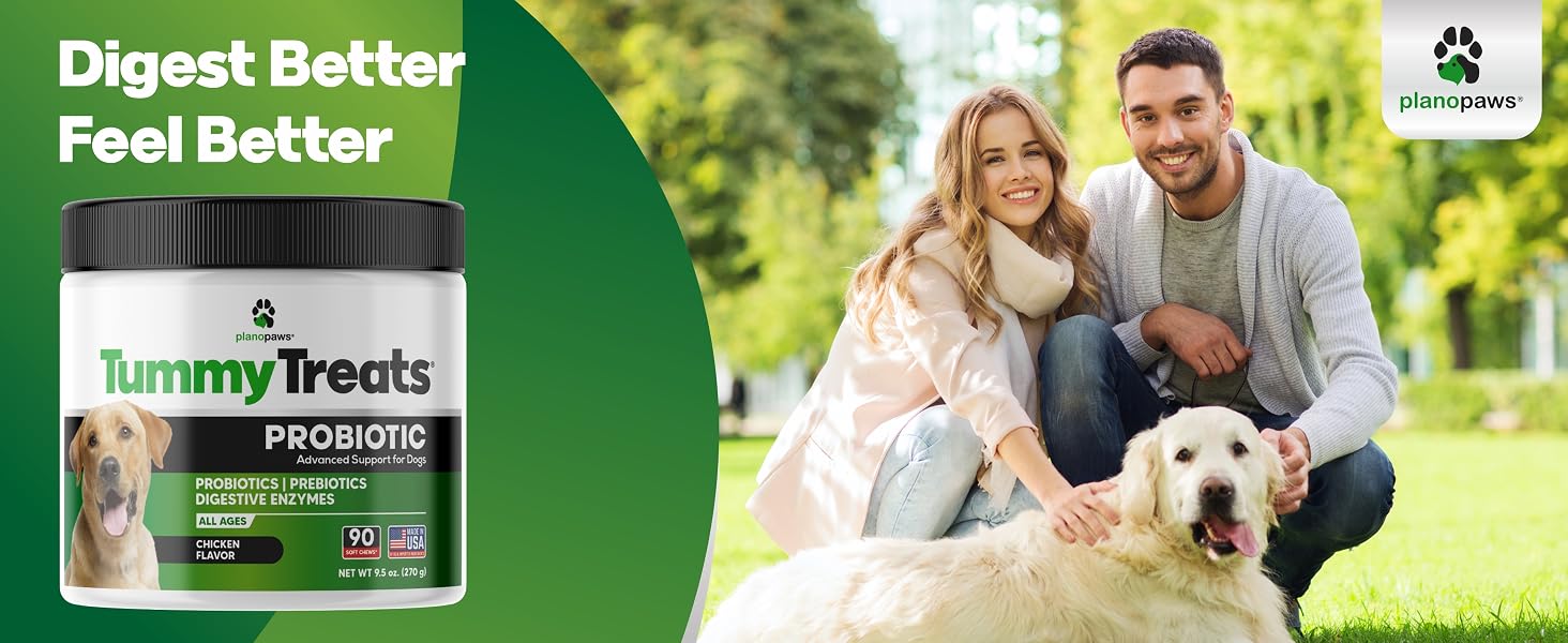 probiotics for dogs dog probiotics probiotics for dogs