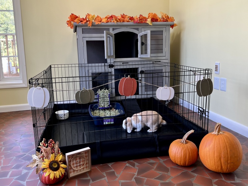 Bunny Run Extension Pet Playpen